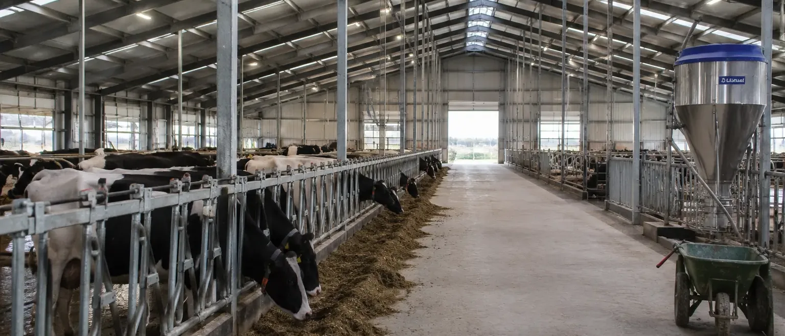 Budynek inwentarski — monitoring mikroklimatu dla dobrostanu zwierząt